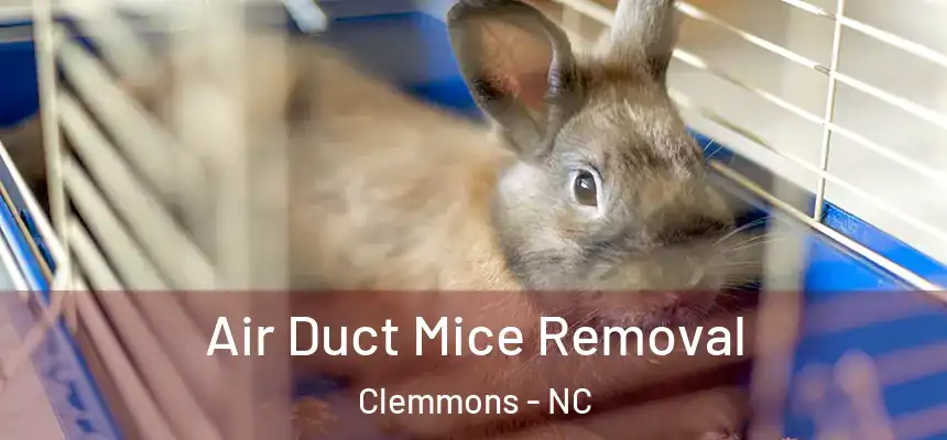  Air Duct Mice Removal Clemmons - NC