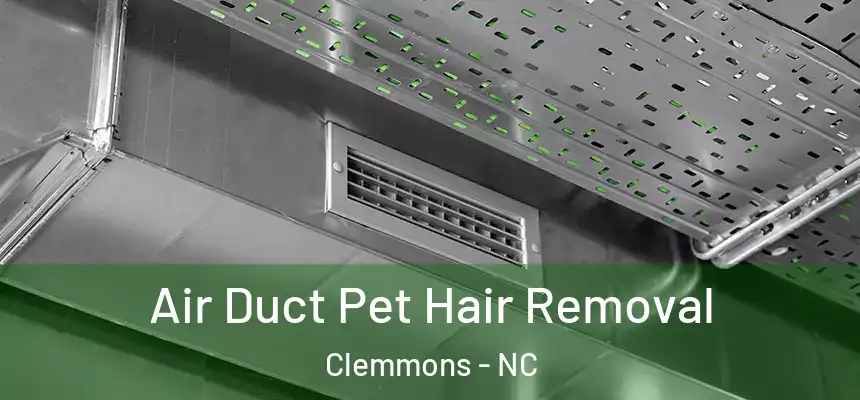  Air Duct Pet Hair Removal Clemmons - NC
