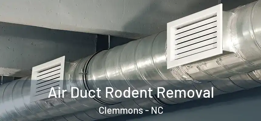  Air Duct Rodent Removal Clemmons - NC