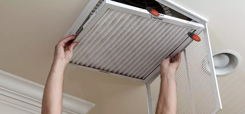 Preventive Cockroach-Proofing for Ducts in Clemmons