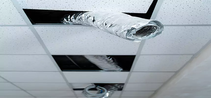 Affordable HVAC Sanitizing After Pest Removal in Clemmons