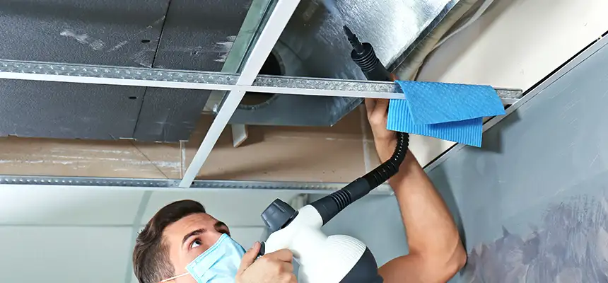 Our Air Duct Rodent Removal Services in Clemmons, NC