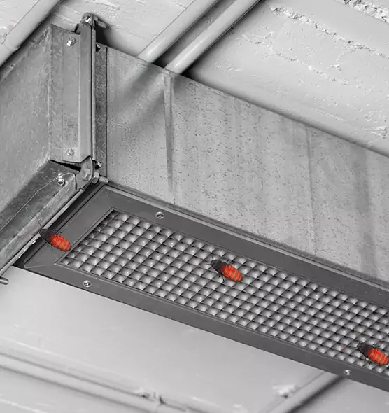 Affordable Insect Removal from Air Ducts in Clemmons, NC