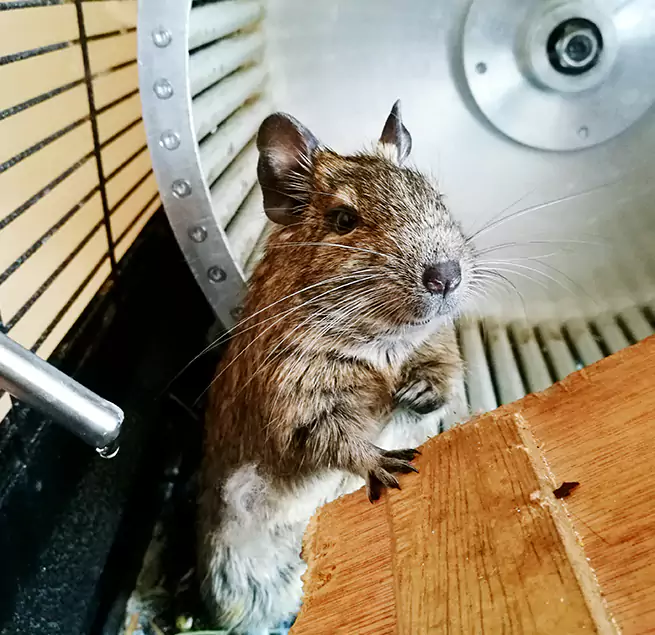 Why Homeowners & Businesses Trust Us Clemmons, NC?