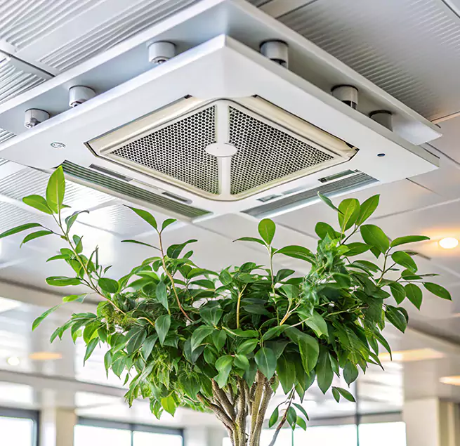 Why Homeowners & Businesses Trust Us in Clemmons, NC